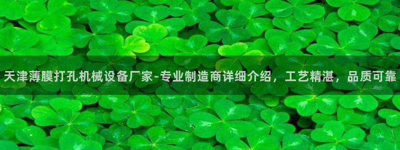 杏盛平台代理注册：天津薄膜打孔机械设备厂家-专业制造商详细介绍，工艺精湛，品质可