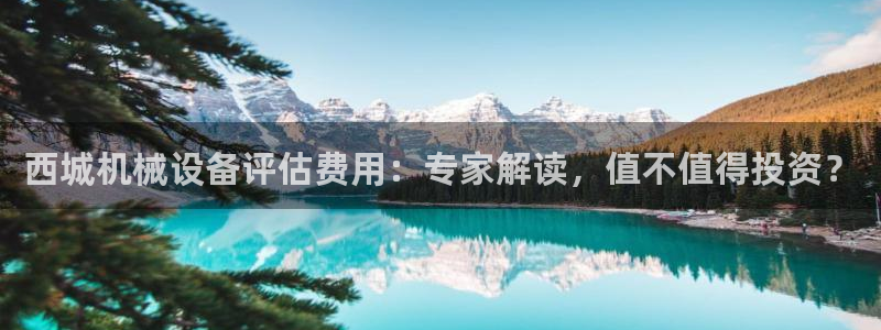 杏盛平台：西城机械设备评估费用：专家解读，值不值得投资？