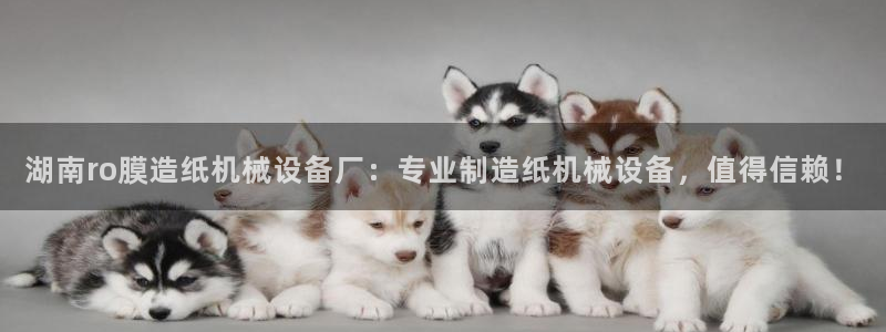 杏盛平台注册登录：湖南ro膜造纸机械设备厂：专业制造纸机械设备，值得信赖！