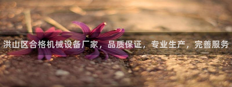 杏盛平台官网注册登录：洪山区合格机械设备厂家，品质保证，专业生产，完善服务
