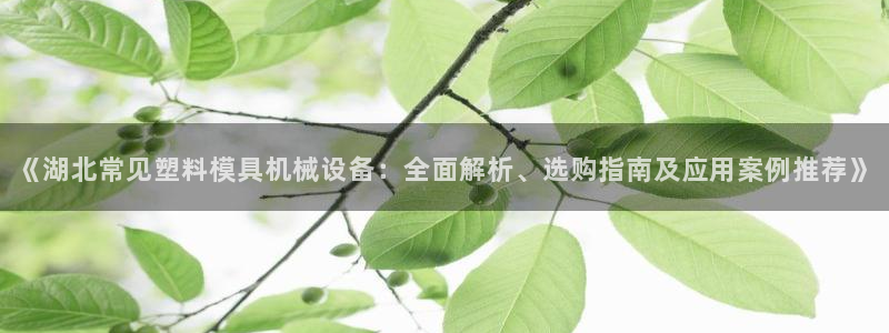 杏盛平台注册：《湖北常见塑料模具机械设备：全面解析、选购指南及应用案例推荐》