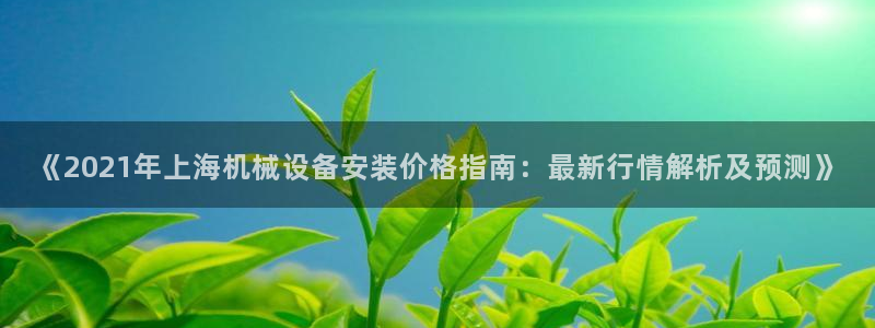 杏盛平台注册登录：《2021年上海机械设备安装价格指南：最新行情解析及预测》