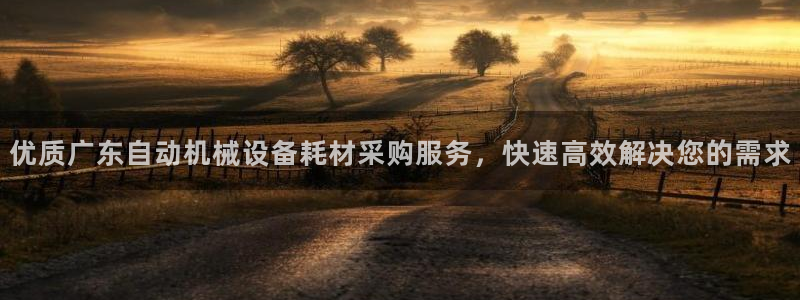 杏盛平台主管：优质广东自动机械设备耗材采购服务，快速高效解决您的需求