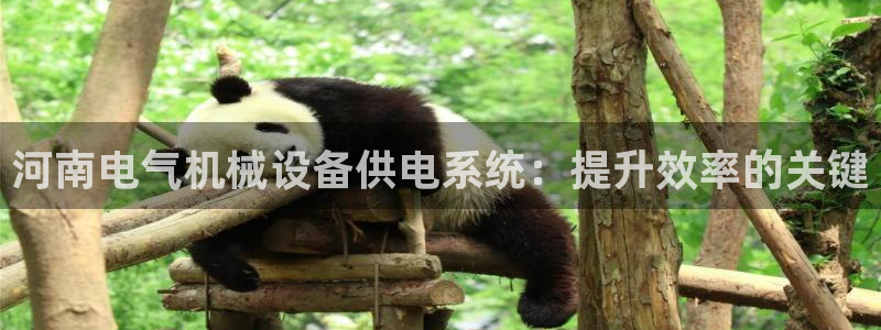 杏盛主管：河南电气机械设备供电系统：提升效率的关键