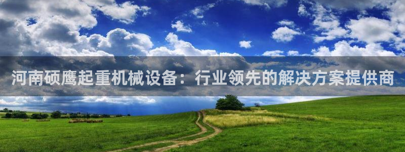 杏盛官网登录：河南硕鹰起重机械设备：行业领先的解决方案提供商