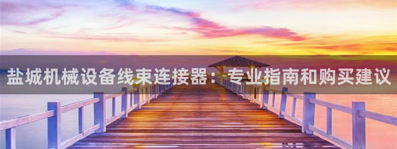 杏盛平台主管：盐城机械设备线束连接器：专业指南和购买建议