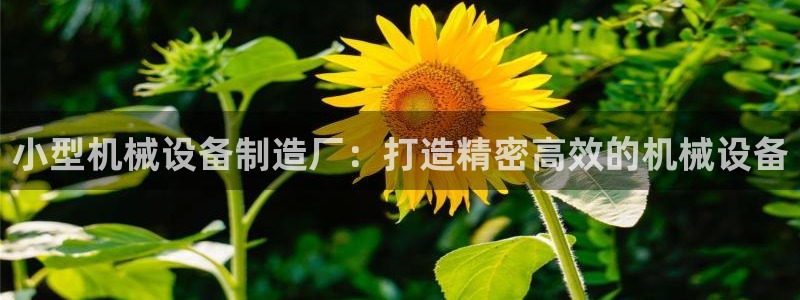 杏盛平台代理：小型机械设备制造厂：打造精密高效的机械设备