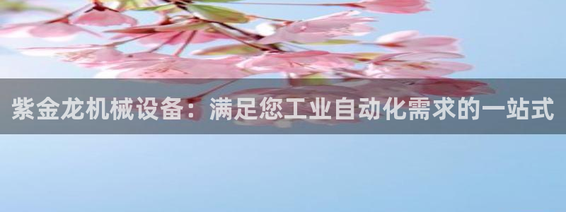 杏盛平台主管：紫金龙机械设备：满足您工业自动化需求的一站式