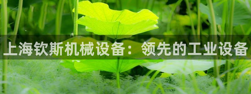 杏盛东24 35 53：上海钦斯机械设备：领先的工业设备