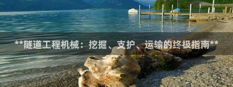 杏盛东24 35 53：**隧道工程机械：挖掘、支护、运输的终极指南**
