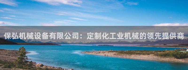杏盛平台登陆地址：保弘机械设备有限公司：定制化工业机械的领先提供商