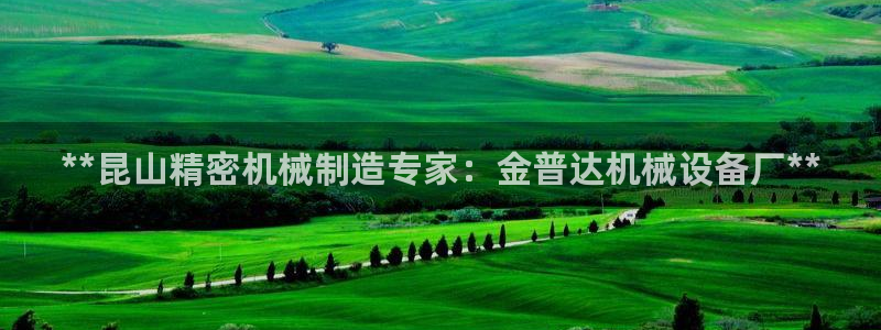 杏盛平台主管：**昆山精密机械制造专家：金普达机械设备厂**