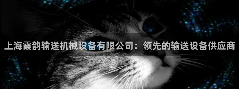 杏盛官方平台：上海霞韵输送机械设备有限公司：领先的输送设备供应商