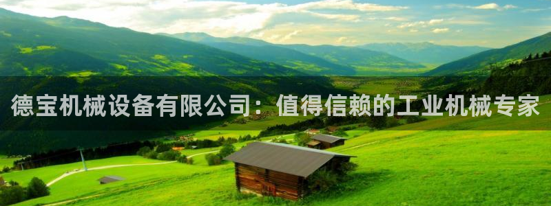 杏盛app下载：德宝机械设备有限公司：值得信赖的工业机械专家