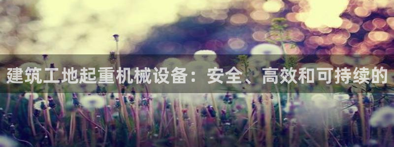 杏盛平台登录：建筑工地起重机械设备：安全、高效和可持续的