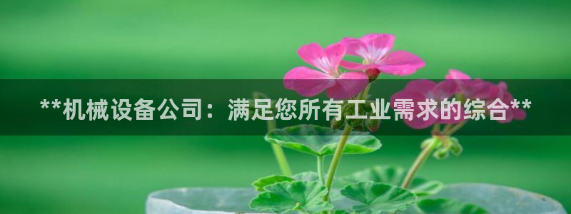 杏盛官方平台：**机械设备公司：满足您所有工业需求的综合**