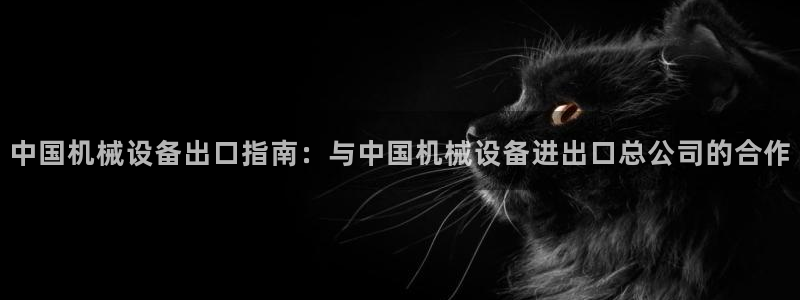 杏盛平台开户：中国机械设备出口指南：与中国机械设备进出口总公司的合作