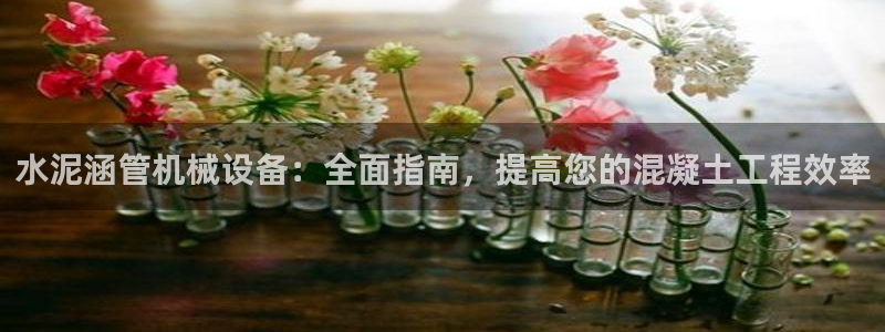 杏盛平台登录：水泥涵管机械设备：全面指南，提高您的混凝土工程效率