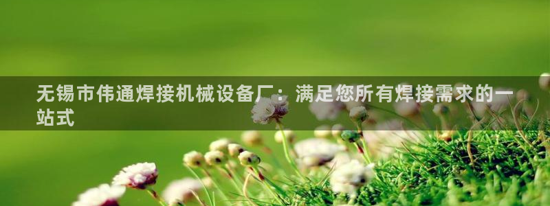杏盛代理：无锡市伟通焊接机械设备厂：满足您所有焊接需求的一
站式