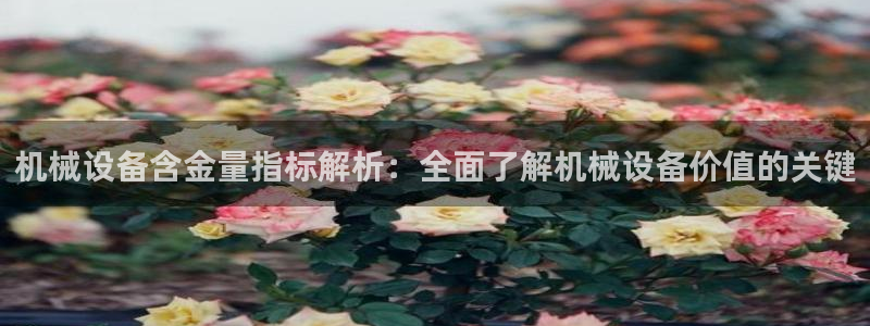 杏盛主管：机械设备含金量指标解析：全面了解机械设备价值的关键
