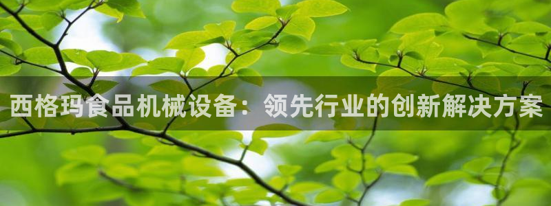杏盛代理：西格玛食品机械设备：领先行业的创新解决方案