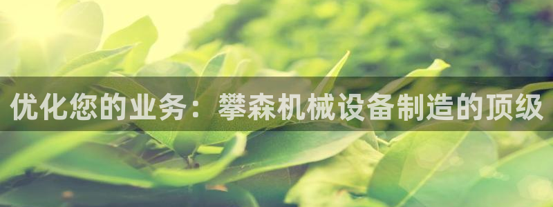 杏盛平台开户 贴吧：优化您的业务：攀森机械设备制造的顶级
