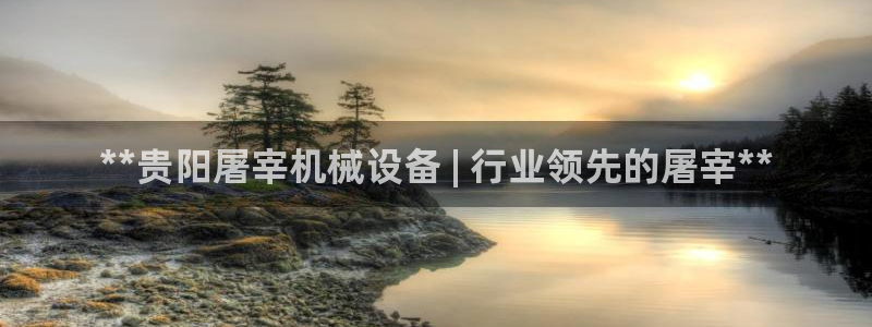 杏盛平台上级：**贵阳屠宰机械设备 | 行业领先的屠宰**