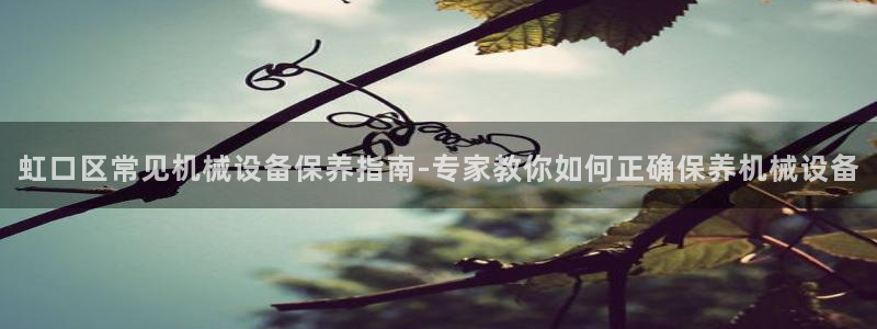 杏盛乐岳35994誓：虹口区常见机械设备保养指南-专家教你如何正确保养机械设备
