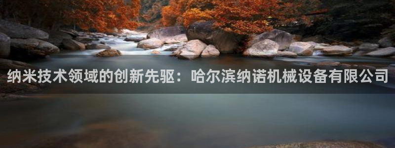 杏盛主管：纳米技术领域的创新先驱：哈尔滨纳诺机械设备有限公司