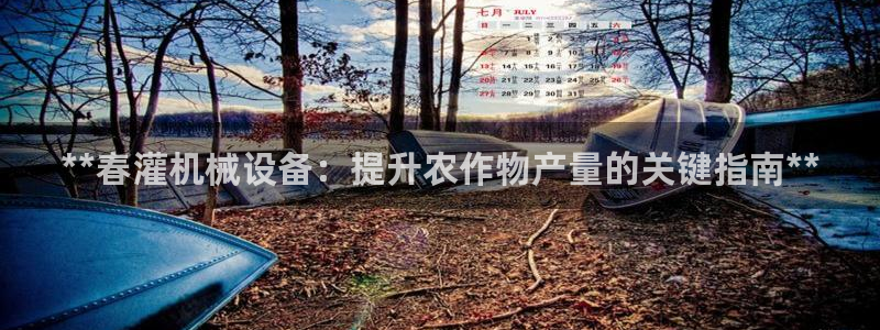 杏盛平台：**春灌机械设备：提升农作物产量的关键指南**