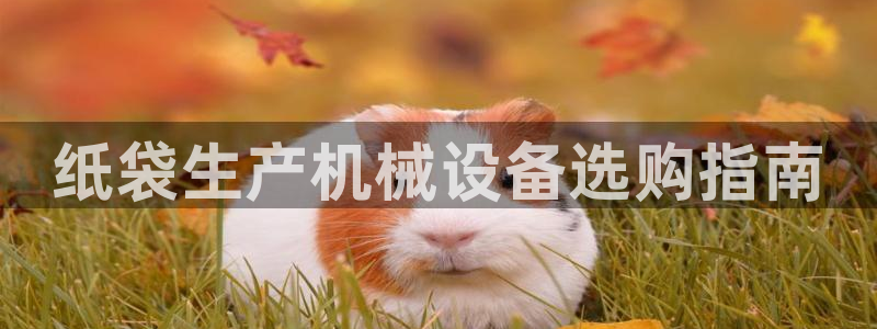 杏盛平台：纸袋生产机械设备选购指南