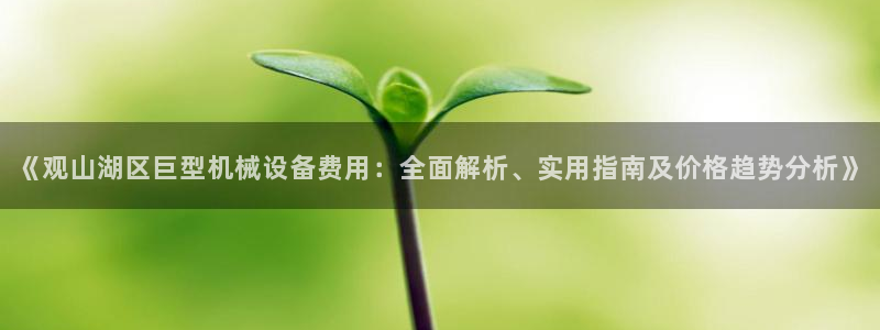杏盛官网登录：《观山湖区巨型机械设备费用：全面解析、实用指南及价格趋势分析》