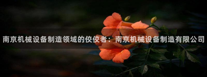 杏盛东24 35 53：南京机械设备制造领域的佼佼者：南京机械设备制造有限公司