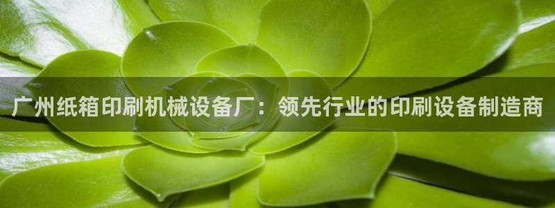 杏盛平台上级：广州纸箱印刷机械设备厂：领先行业的印刷设备制造商