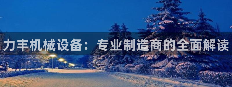 杏盛主管：力丰机械设备：专业制造商的全面解读