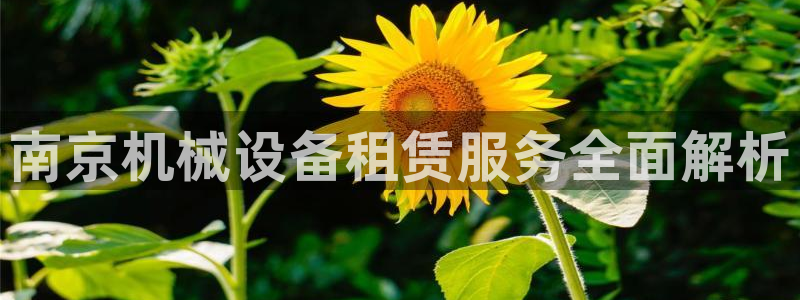 杏盛平台登录：南京机械设备租赁服务全面解