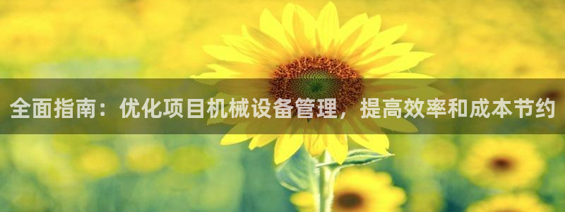 杏盛平台登陆：全面指南：优化项目机械设备管理，提高效率和成本节约