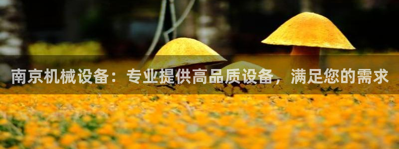 杏盛平台登录：南京机械设备：专业提供高品质设备，满足您的需求