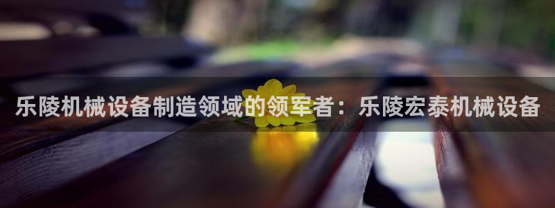杏盛平台官网注册：乐陵机械设备制造领域的领军者：乐陵宏泰机械设备