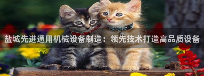杏盛平台注册：盐城先进通用机械设备制造：领先技术打造高品质设备