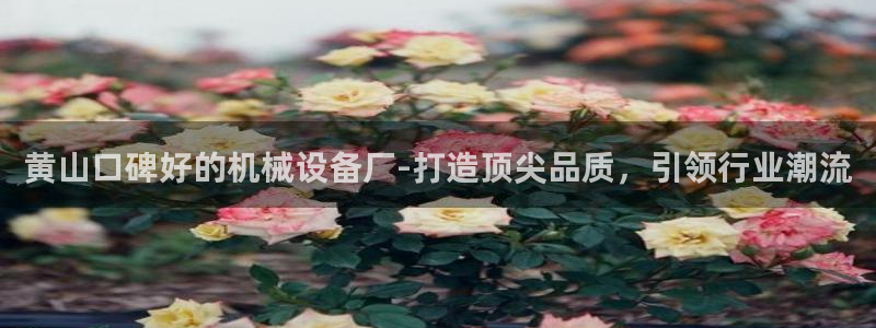杏盛平台开户：黄山口碑好的机械设备厂-打造顶尖品质，引领行业潮流