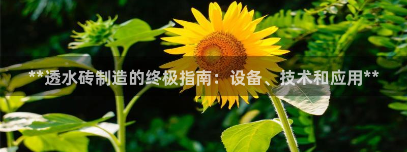 杏盛注册登录：**透水砖制造的终极指南：设备、技术和应用**