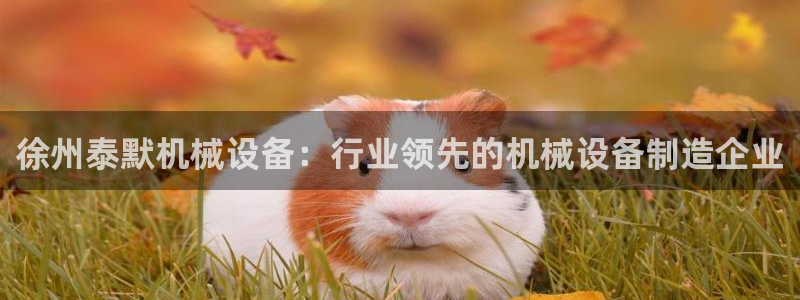 杏盛平台开户 贴吧：徐州泰默机械设备：行业领先的机械设备制造企业