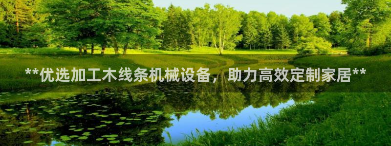 杏盛开户地址：**优选加工木线条机械设备，助力高效定制家居**
