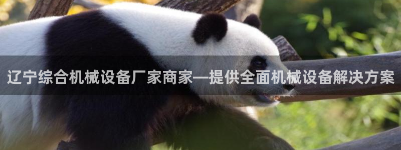 杏盛注册登录：辽宁综合机械设备厂家商家—提供全面机械设备解决方案
