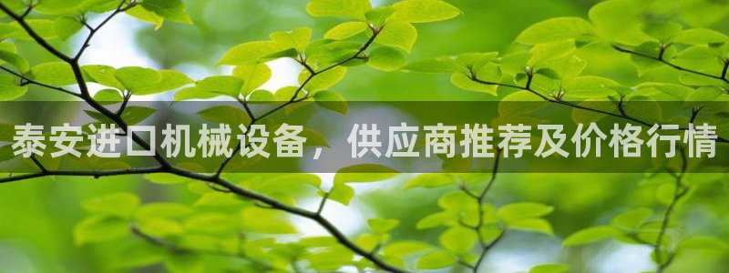 杏盛平台代理注册：泰安进口机械设备，供应商推荐及价格行情