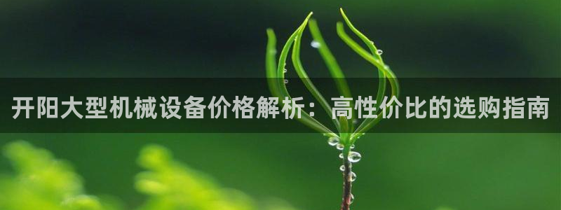 杏盛官方平台：开阳大型机械设备价格解析：高性价比的选购指南