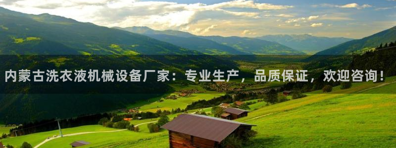 杏盛app下载：内蒙古洗衣液机械设备厂家