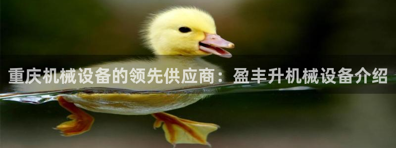 杏盛平台主管：重庆机械设备的领先供应商：