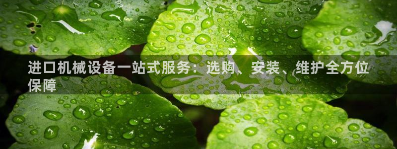 杏盛代理：进口机械设备一站式服务：选购、安装、维护全方位
保障